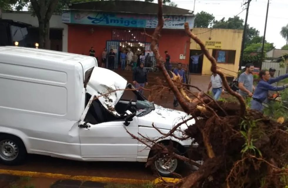 Por la tormenta un árbol cayó sobre un Fiat Fiorino en Apóstoles. No hubo heridos.