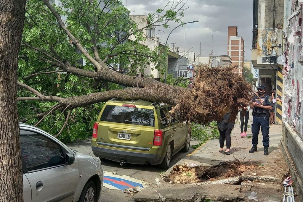 Centro. Un árbol destruyó una camioneta Jeep que estaba estacionada (Twitter @JavierSassi).