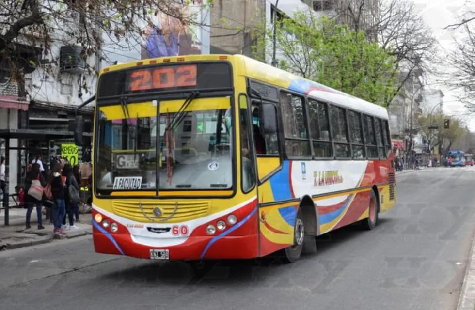 Reforzarán, en La Plata, los servicios de las líneas de transporte público del próximo domingo (web).