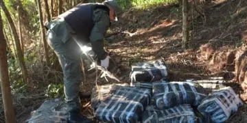 Secuestran marihuana en una zona de monte en Colonia Delicia