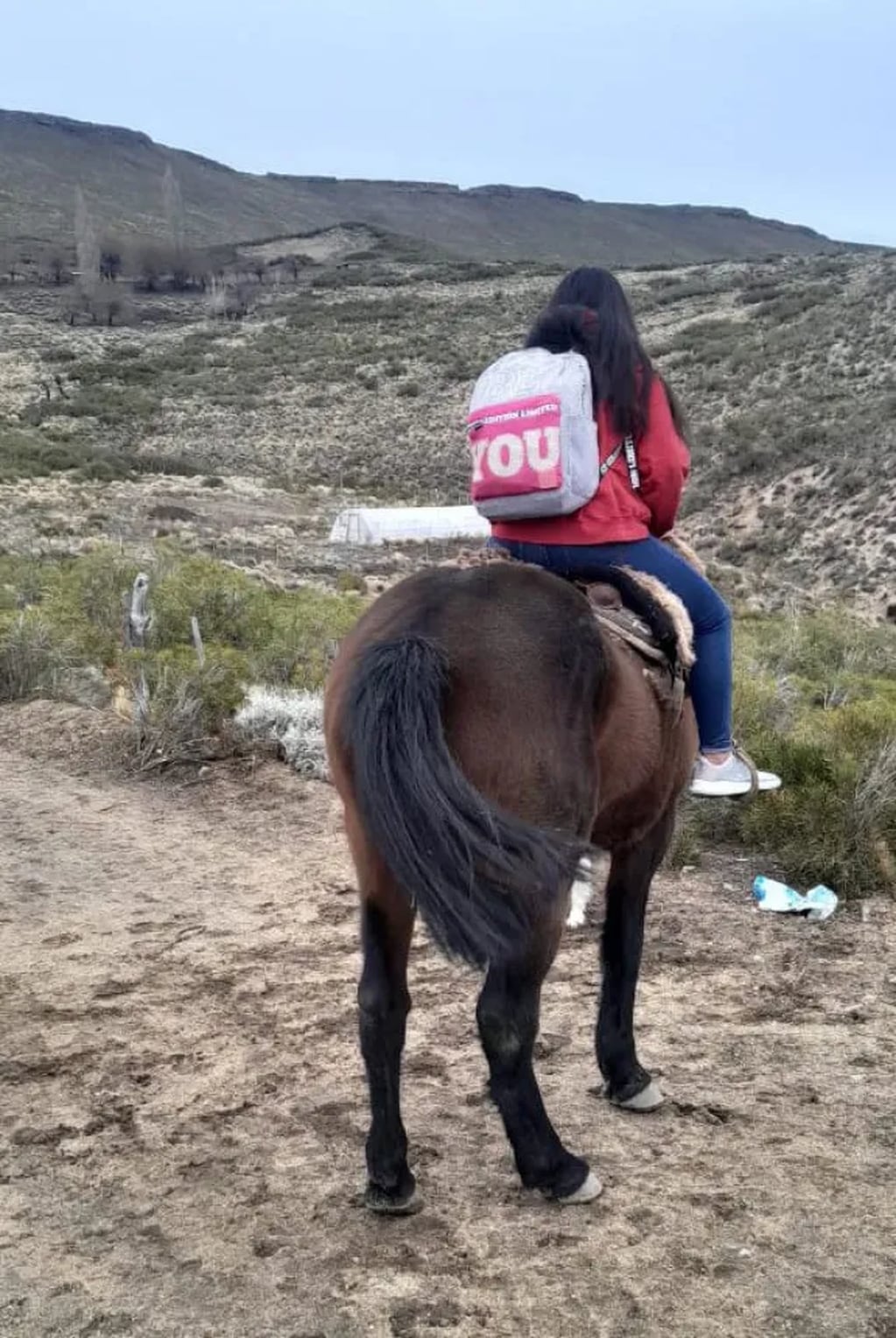 Una niña bajó el cerro a caballo para no perderse las clases.