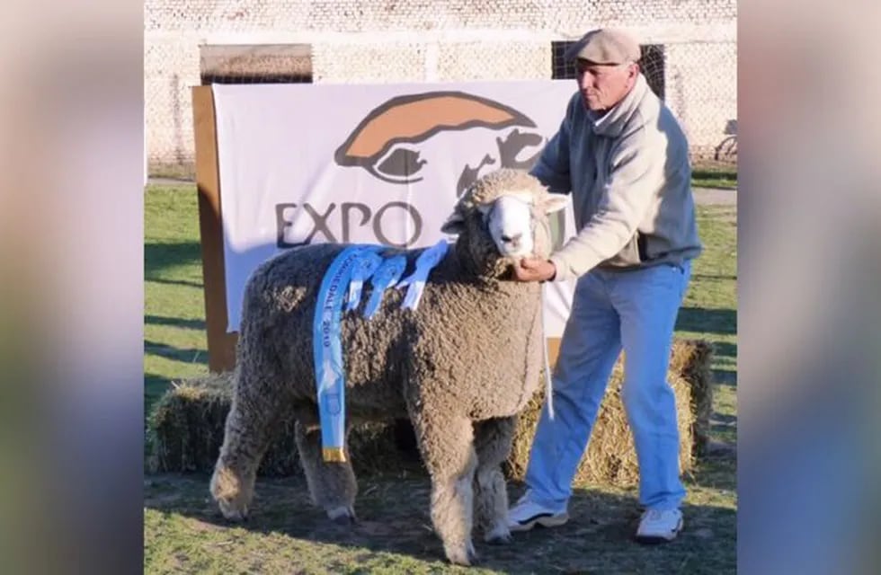 Expo Ovino en Alpachiri (Gobierno de La Pampa)