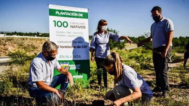 San Antonio de Arredondo recibió 100 árboles nativos donados por una empresa privada.