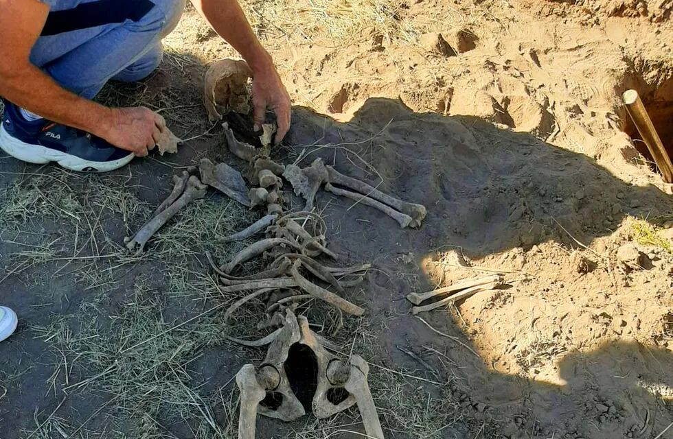 Esqueleto encontrado cerca de Rio V en San Luis