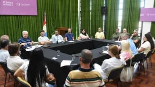 Reunión por casos sospechosos de encefalitis equina en Rafaela