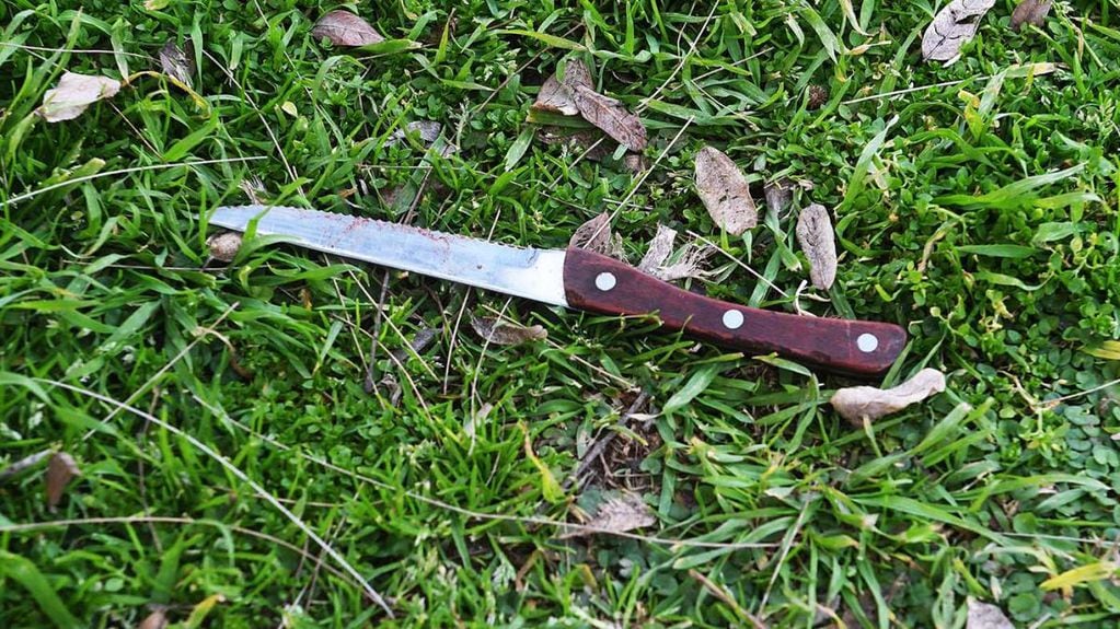 Este es el cuchillo encontrado por el periodista que podría estar relacionado con el caso del ingeniero. Foto: Télam.