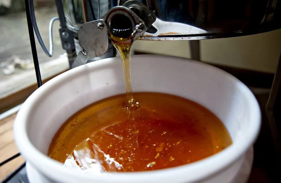 Honey is poured from a honey extractor in Merango, Illinois, U.S., on Monday, Sept. 10, 2018. Beekeepers in the U.S. reported an increase in honeybee deaths over the last year, possibly the result of erratic weather patterns brought on by a changing climate. Photographer: Daniel Acker/Bloomberg eeuu Illinois  produccion apicola en Illinois miel abejas