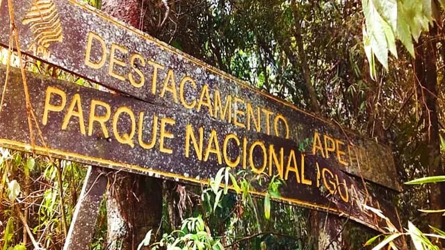 Reabrirán caminos de vigilancia del “Alto Iguazú” para combatir la caza furtiva