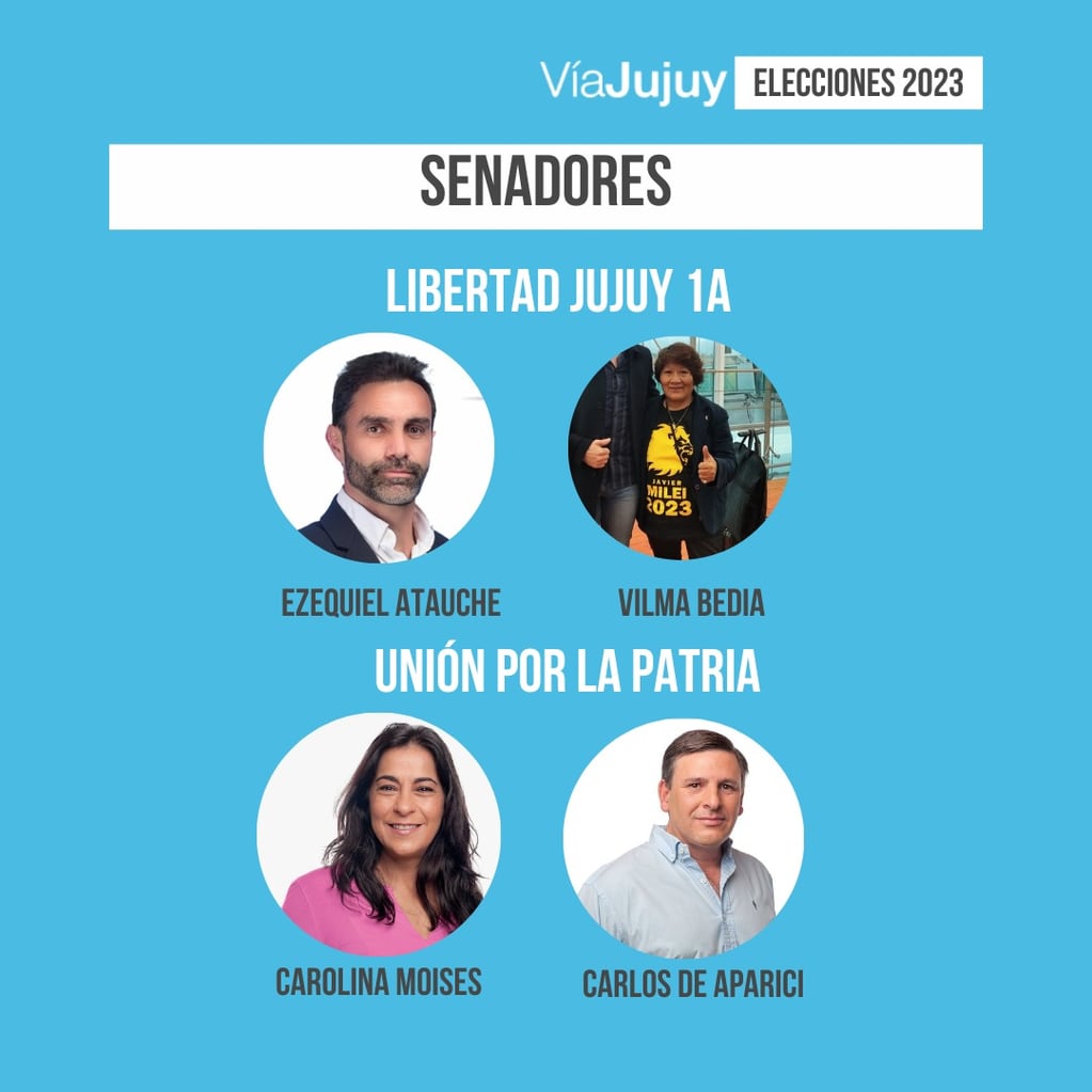 Este domingo, cuatro frentes compiten en Jujuy por siete cargos parlamentarios.