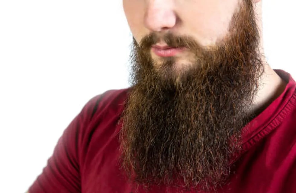 Un grupo de hombres hizo la cadena de barbas más larga del mundo.