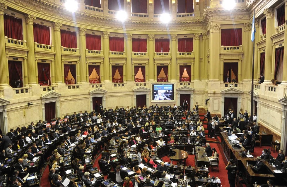 Finalmente, el Congreso aprobó la Ley del acuerdo con el FMI en senadores. Foto: Federico López Claro.