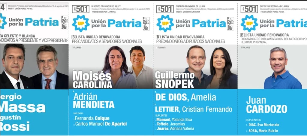 Unión por la Patria decidió bajar la lista de Carolina Moisés y Guillermo Snopek.