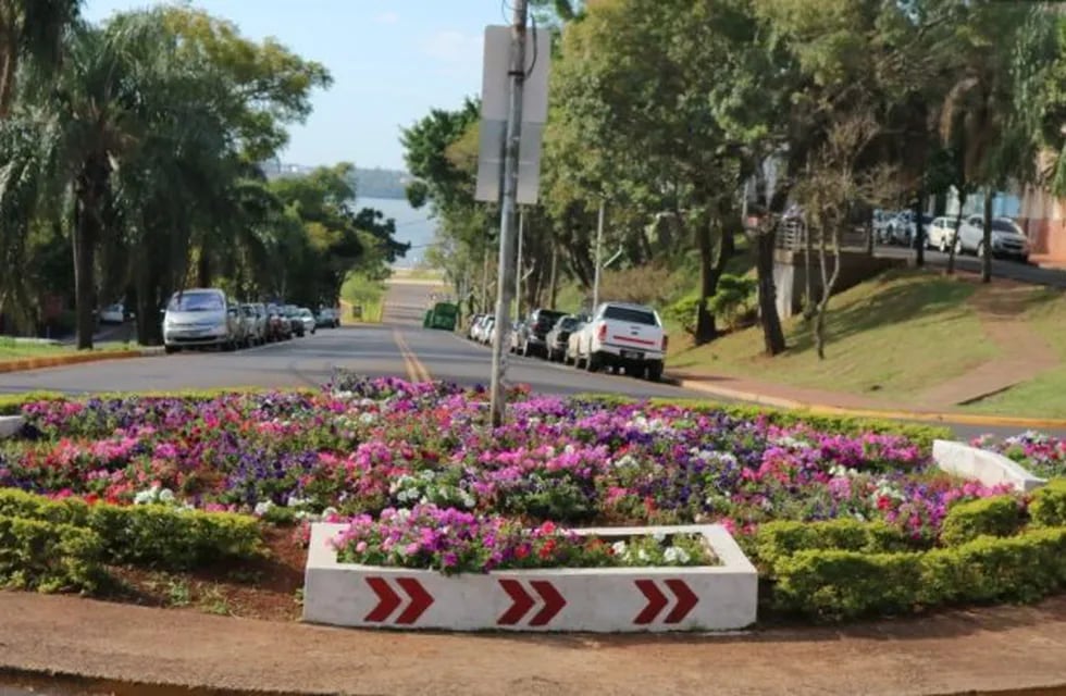 La consigna de Posadas otra vez linda, continúa con flores en los canteros de las rotondas de las principales avenidas de la ciudad.