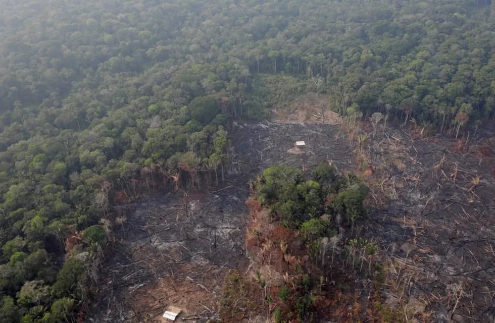 An aerial view of a deforested plot of the Amazon near Humaita, Amazonas State, Brazil August 22, 2019. REUTERS/Ueslei Marcelino