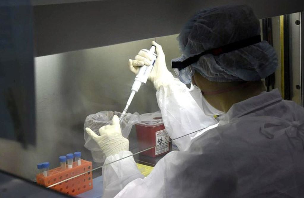 Un experto en infectología realiza un test de coronavirus en el Instituto Malbrán, de Buenos Aires. Estudios similares se comenzará a realizar en Jujuy desde este domingo o lunes.