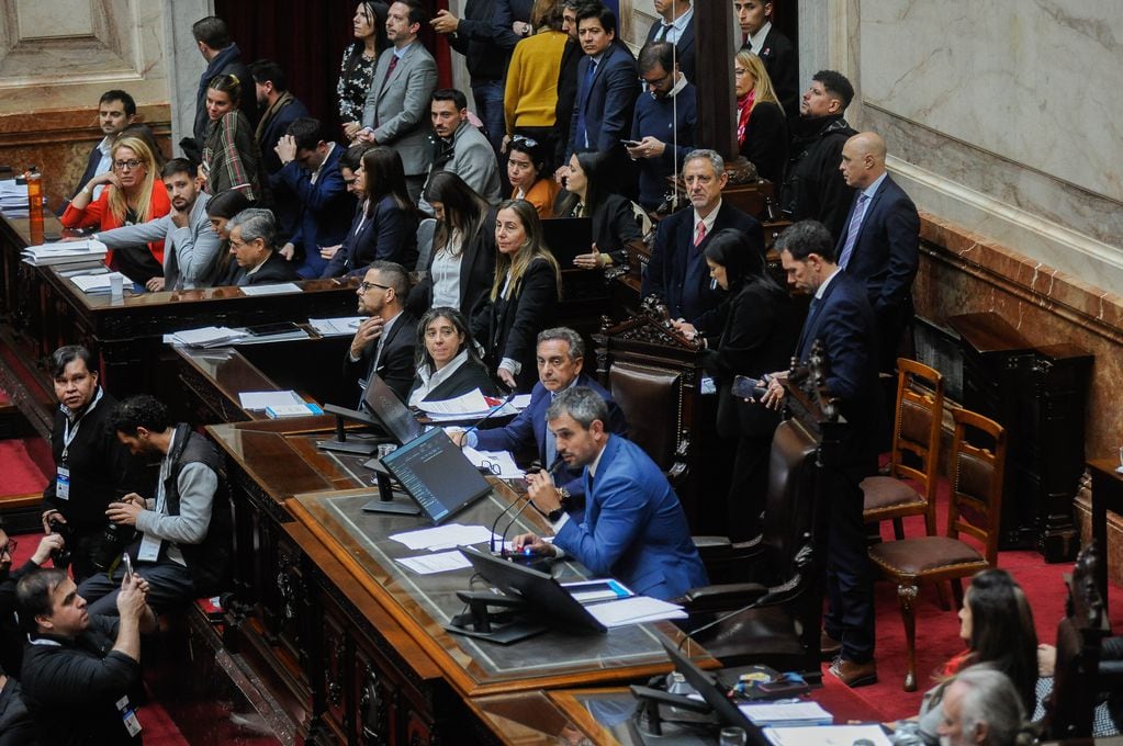 Votación en Diputados de la "ley Bases" y el paquete fiscal. Foto Federico Lopez Claro 
