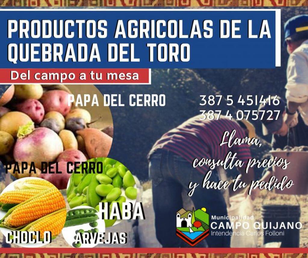 Productos agrícolas de la Quebrada del Toro (Facebook Municipalidad de Campo Quijano)