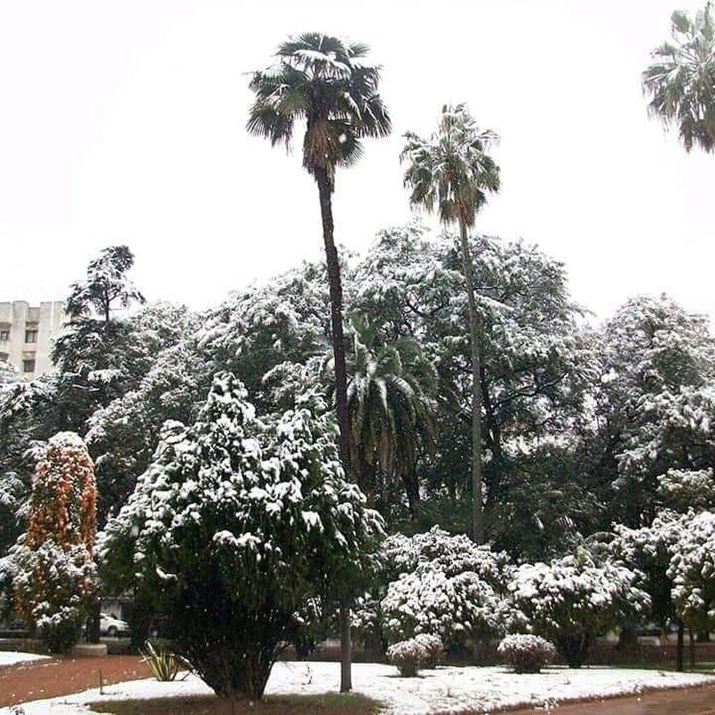 Gran nevada en Salta en julio del 2010 (Facebook Reinaldo Simon Mercado)