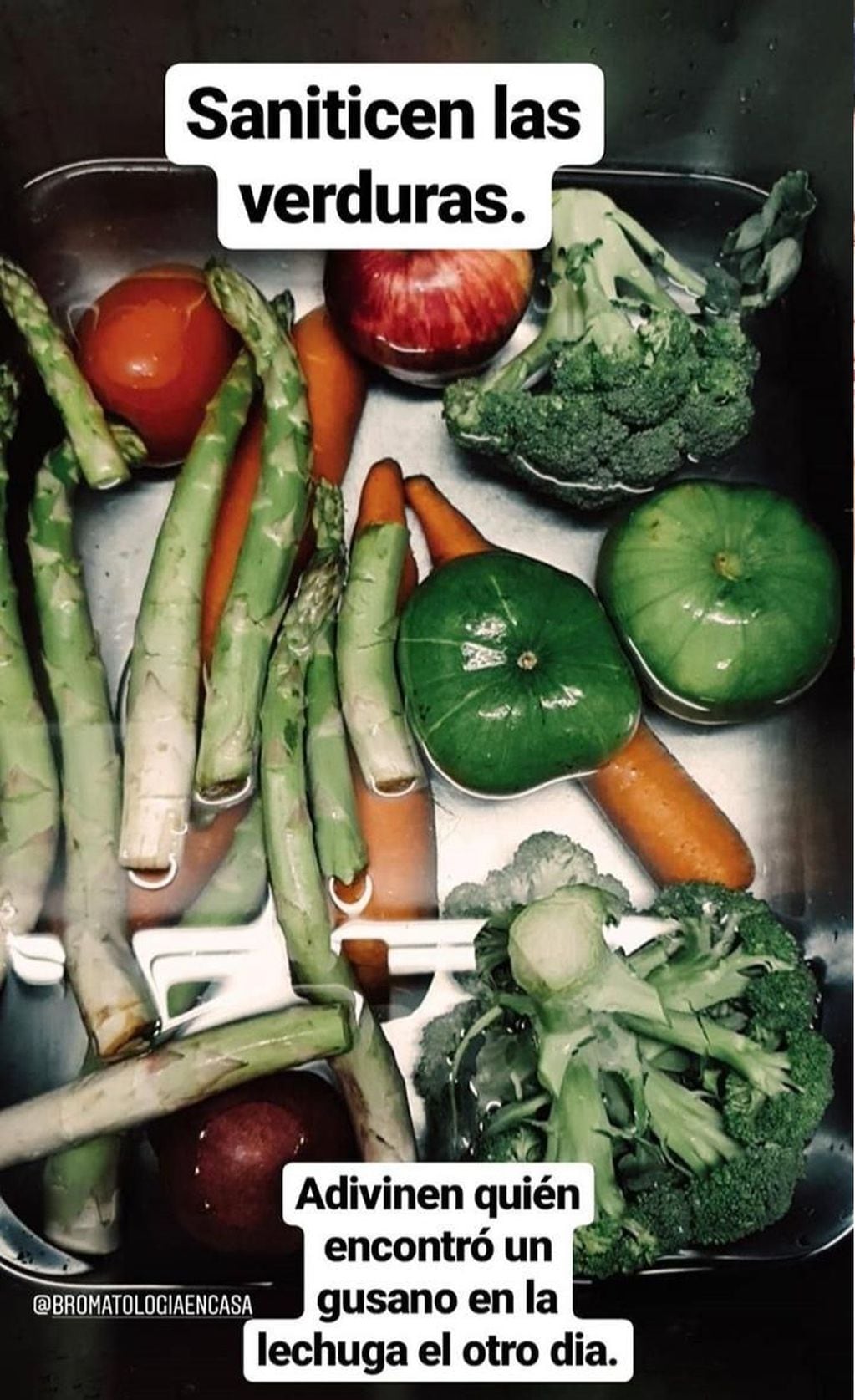 Las verduras de la China Suárez (Instagram)