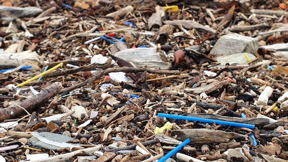 Histórico: Ushuaia es la primera ciudad del país que prohíbe los hisopos plásticos para reducir la contaminación