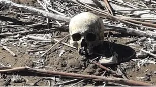 Hallan restos óseos humanos en Cascallares: se trataría de un yacimiento arqueológico