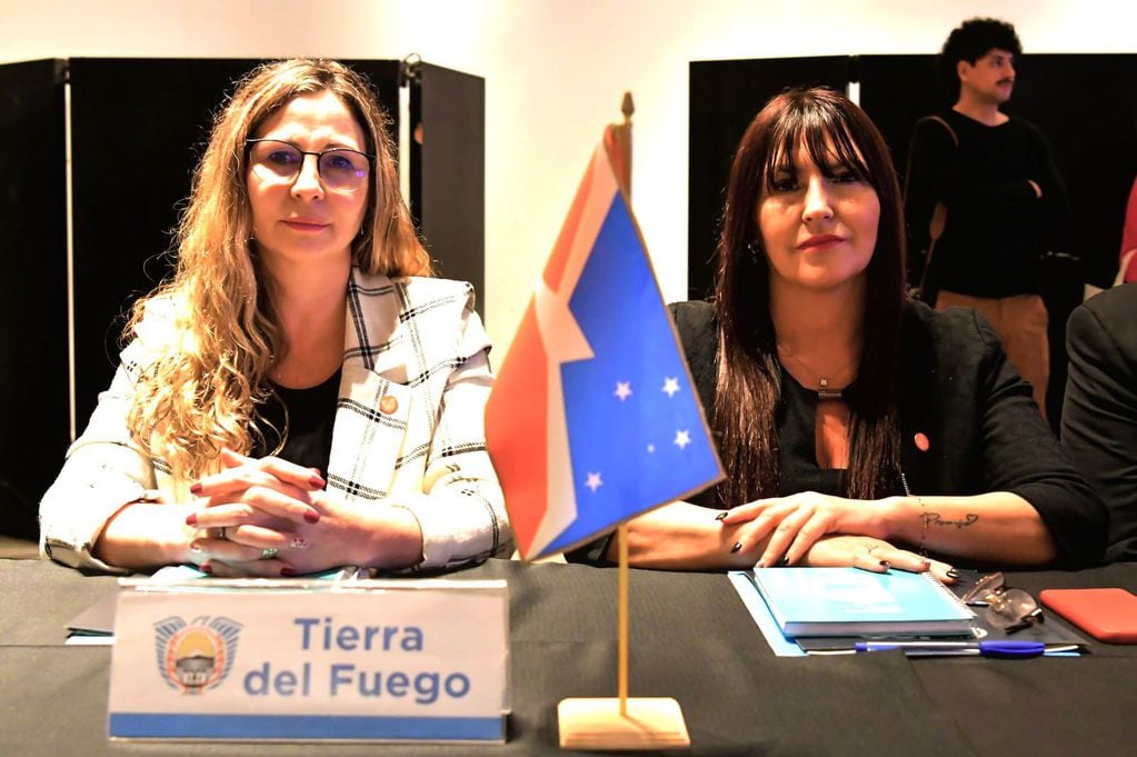Tierra del Fuego participó en la 123º Reunión Plenaria del Consejo Federal del Trabajo
