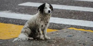 Lluvia