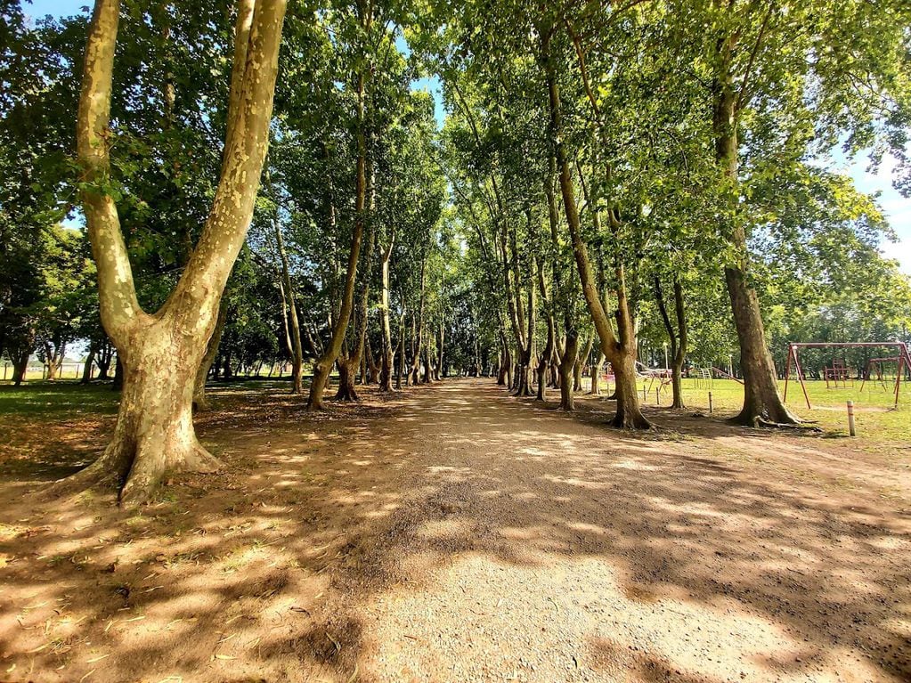 El Parque Aguas Corrientes de Saladillo, el ideal sitio para relajarse.