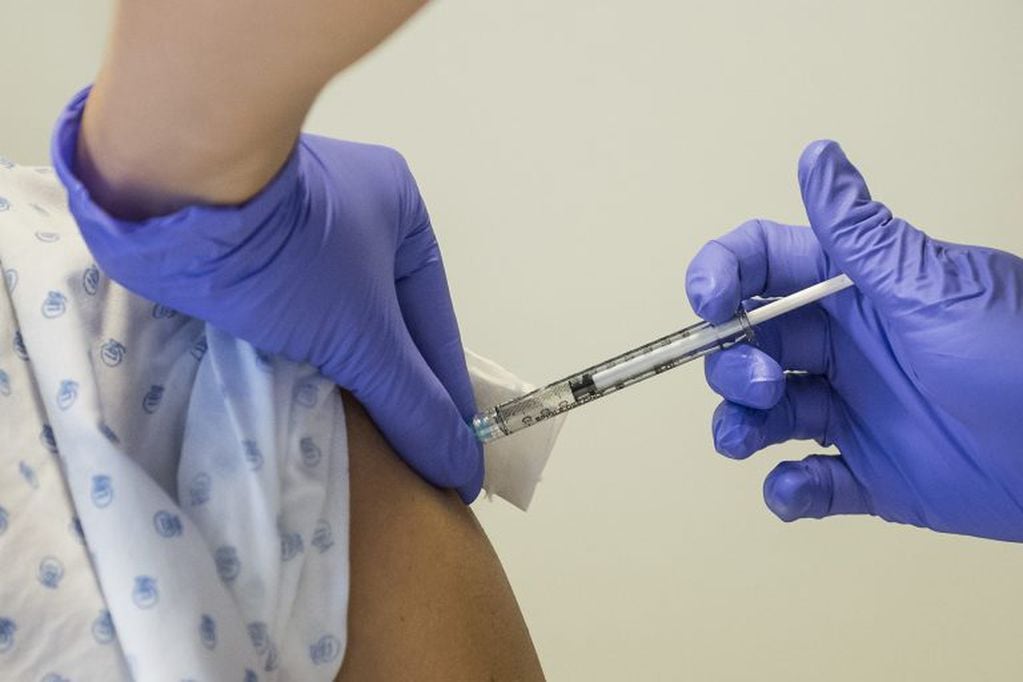 Veloso se mostró crítico del gobierno de Bolsonaro por la polémica por la vacunación a los menores (AP)