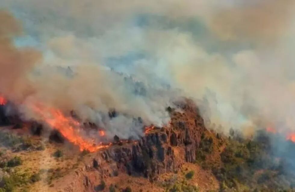 Impactante: así está el Parque Nacional los Alerces por el incendio.