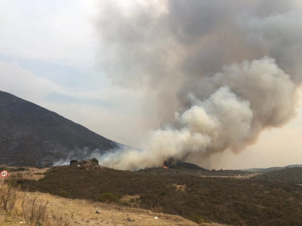El paso del fuego arrasó con hectáreas de monte nativo en Las Jarillas.