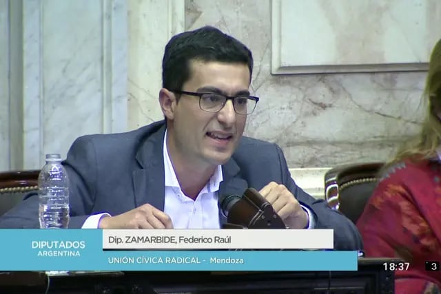 Zamarbide pidió que no discriminen a Mendoza