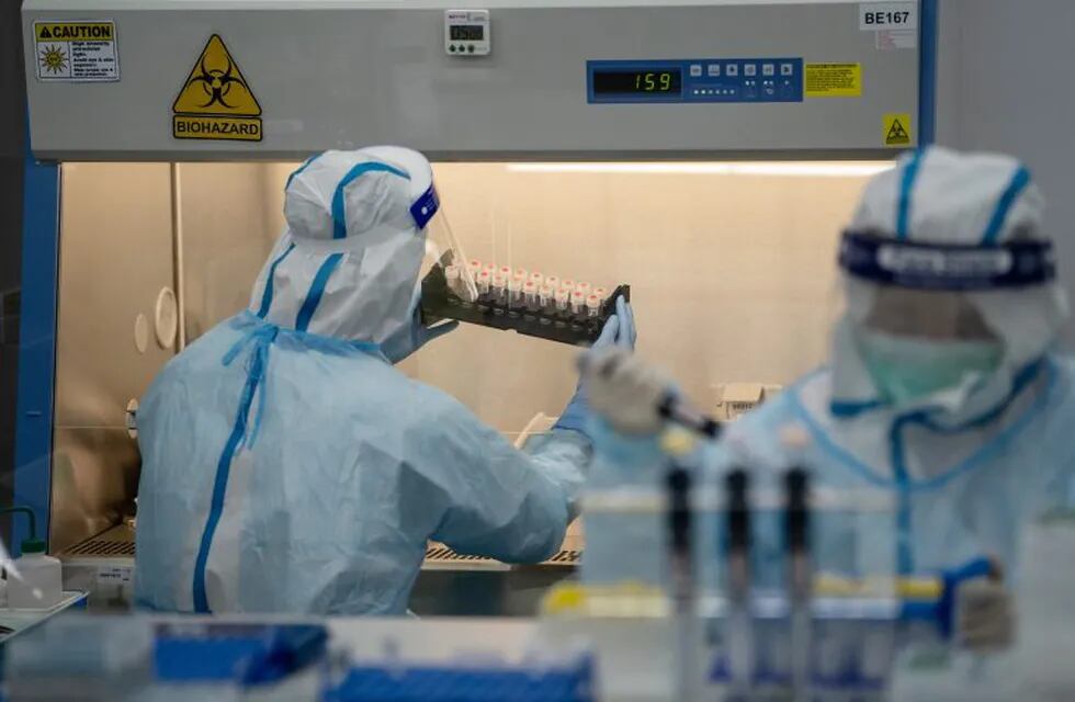 A lab technician wearing a protective suit, left, handles saliva samples for RT-PCR Covid-19 testing at Prenetics Ltd.'s laboratory in Hong Kong, China on Friday, July 31, 2020. Prenetics, along with other Hong Kong labs and hospitals, has been overloaded with people seeking virus tests since the new wave emerged 18 days ago, Chief Executive Officer Danny Yeung said in an interview last month. Photographer: Roy Liu/Bloomberg