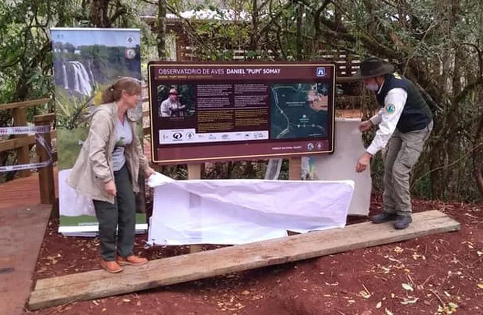 Parque Nacional Iguazú: habilitaron el nuevo mirador de aves Daniel “Pupi” Somay