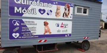 Se realizará en Tres Arroyos esterilizaciones de canes y felinos en un móvil quirúrgico