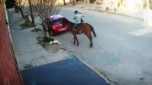 El ladrón, huyendo en un caballo. (Captura de video)