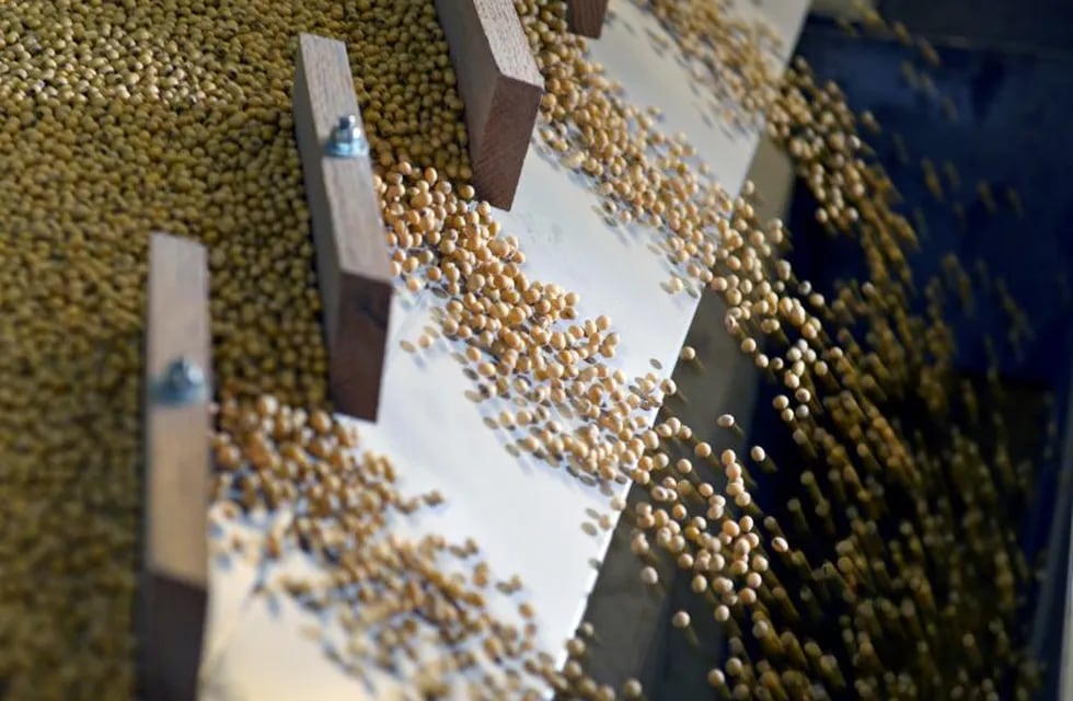 FILE PHOTO: Soybeans being sorted according to their weight and density on a gravity sorter machine at Peterson Farms Seed facility in Fargo, North Dakota, U.S., December 6, 2017.  REUTERS/Dan Koeck/File Photo
