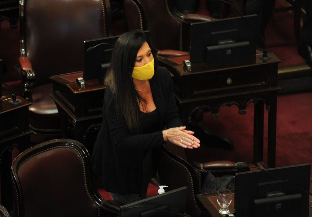 La senadora por Cordoba,  Laura Rodriguez Machado
