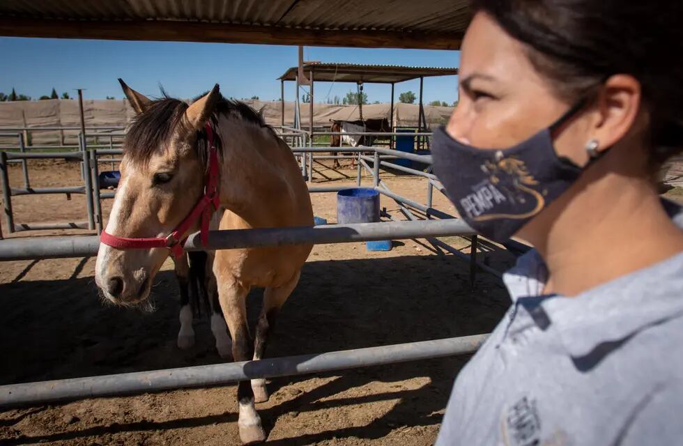 Desde la asociación piden que los caballos no sean devueltos a las personas que tanto daño les hicieron.

Foto: Ignacio Blanco / Los Andes
