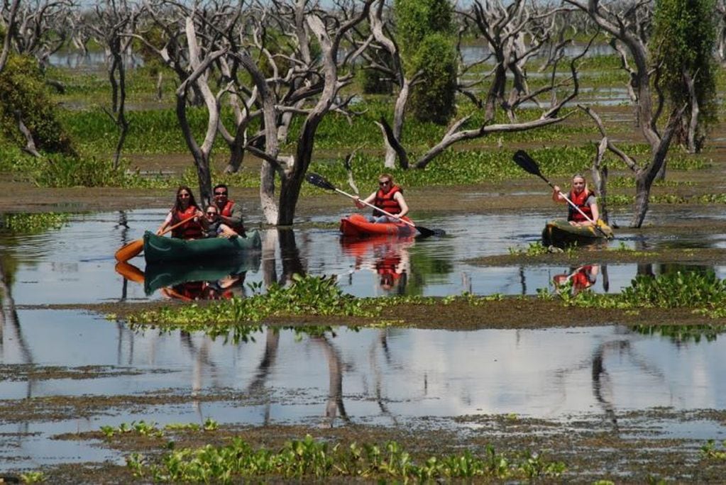 En el humedal se pueden realizar actividades como paseo en canoa, avistaje de aves, entre otras. (Foto: Ministerio de Turismo de Formosa)
