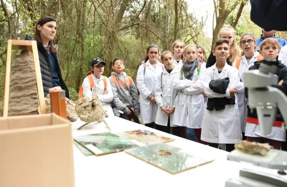 Cientos de chicos participaron de la Caminata de la Ciencia en el Bosquecito Besaccia (Prensa Municipalidad de Rafaela)