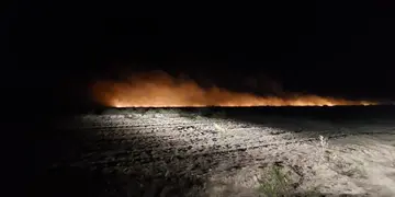 Se incendiaron más de 110 hectáreas de Chubut a causa de un cigarrillo mal apagado