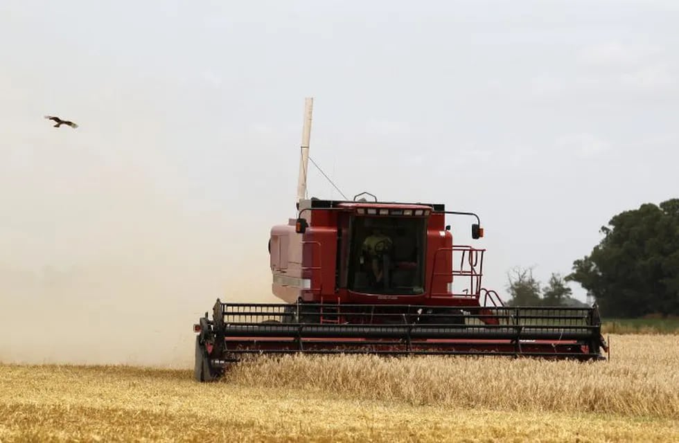 A combine harvester is used to harvest wheat in the village of General Belgrano, 160 km (100 miles) west of Buenos Aires, December 18, 2012. Argentina, one of the main exporters of wheat cereal and a key supplier to neighboring Brazil, has lowered its estimates of exportable wheat surplus from six million tonnes to two, after flooding of important farm areas reduced the production. REUTERS/Enrique Marcarian (ARGENTINA - Tags: AGRICULTURE BUSINESS) buenos aires General Belgrano  campos campo cosecha de trigo redujeron reduccion de la produccion principales exportadores de cereales del trigo