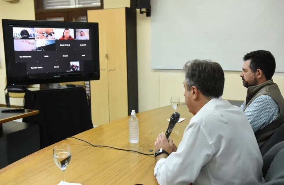 Germán Bottero y Luis Castellano en una teleconferencia de prensa