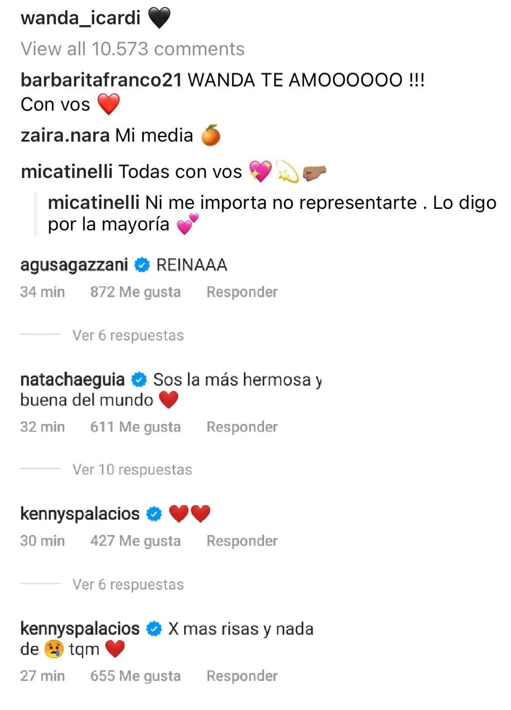 El apoyo de los famosos a Wanda Nara.