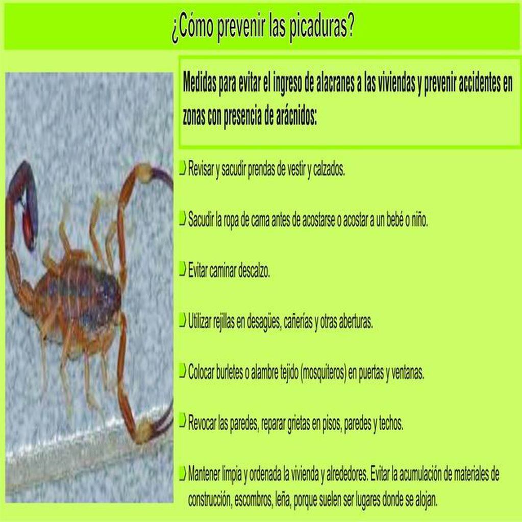 Precauciones ante eventuales picaduras de alacranes. (Fuente: Época)