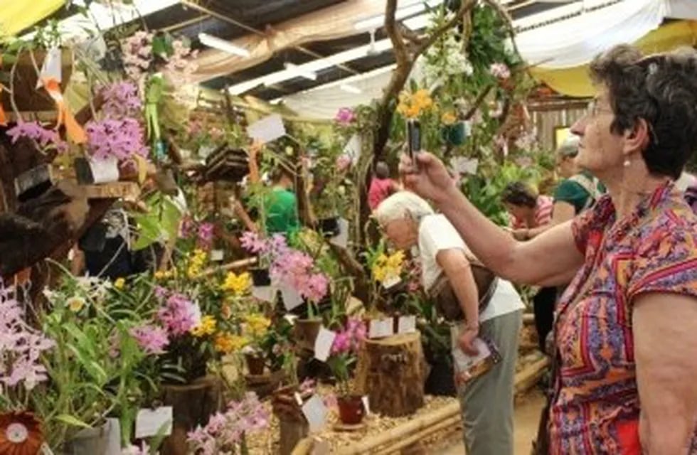 Finalmente se suspendió la Fiesta Provincial de la Flor en Montecarlo