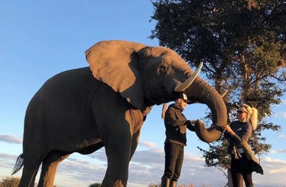 Icardi y Nara en África. (Instagram)