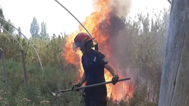 Incendio en un campo de Maipú.