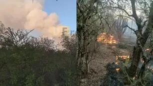 Un incendio afecta kilómetros de bosques nativos en Rivadavia Banda Sur.